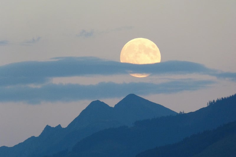Mystical Moonlight